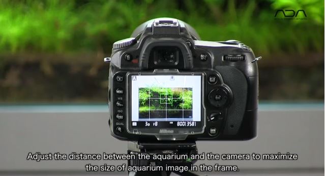 how to shoot aquarium ada